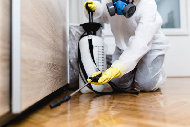 Best Residential Pest Control  in Kirtland, OH