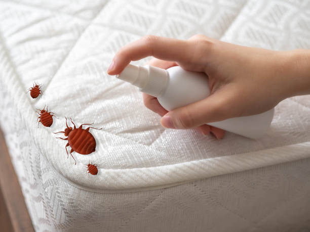 Best Mosquito Control Services  in Kirtland, OH