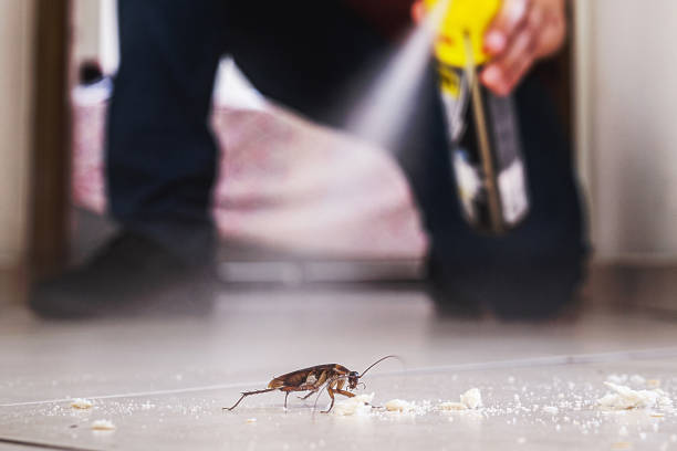 Trusted Kirtland, OH Pest Control Experts